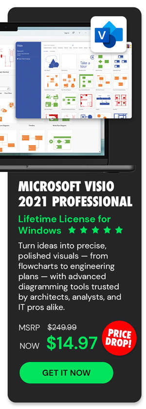Microsoft Visio 2021 Professional: Lifetime License for Windows