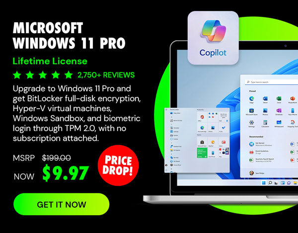 Microsoft Windows 11 Pro