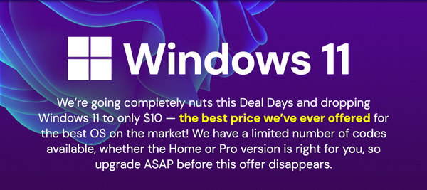 Microsoft Windows 11 Pro