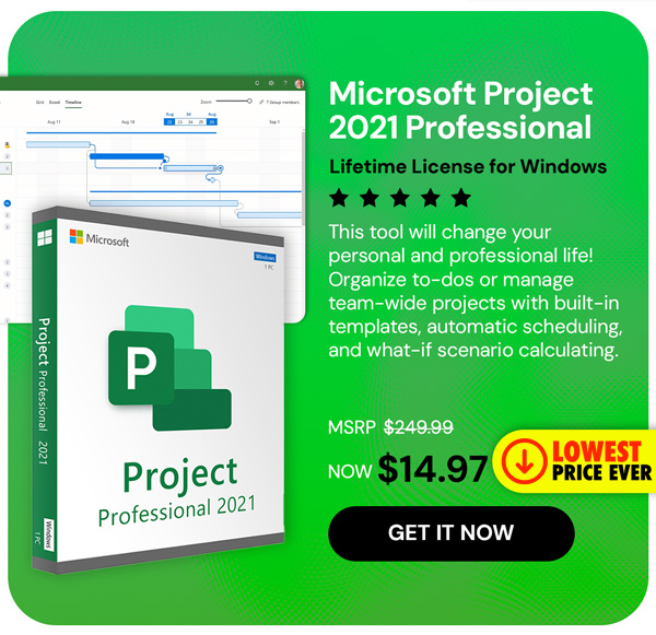 Microsoft Project 2021 Professional: Lifetime License for Windows