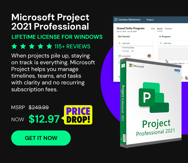 Microsoft Project 2021 Professional: Lifetime License for Windows