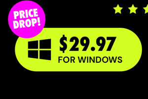 Microsoft Office Professional 2021 for Windows: Lifetime License