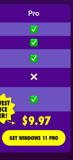 Microsoft Windows 11 Pro