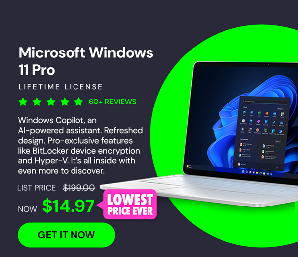 Microsoft Windows 11 Pro