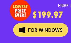 Intuit QuickBooks Desktop Pro Plus 2024 (1 User): Lifetime License