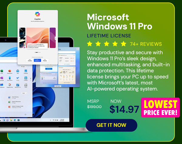 Microsoft Windows 11 Pro