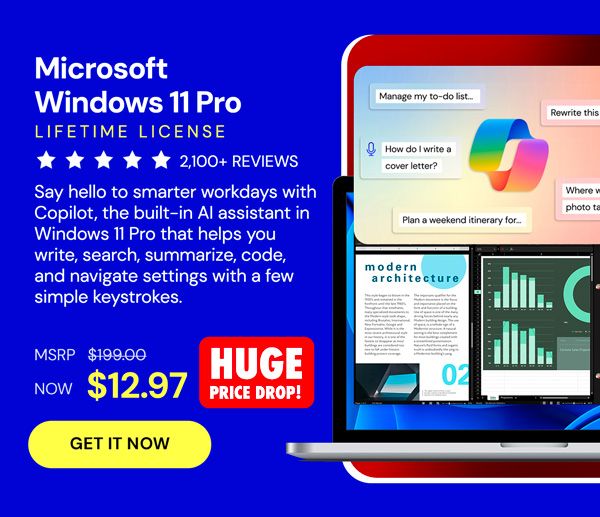 Microsoft Windows 11 Pro