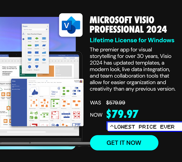Microsoft Visio Professional 2024: Lifetime License for Windows