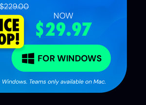 Microsoft Office Professional Plus 2019 for Windows | Lifetime License