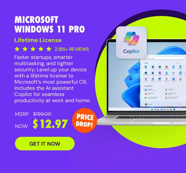 Microsoft Windows 11 Pro