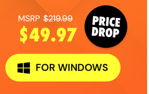 Microsoft Office Professional 2021 for Windows: Lifetime License