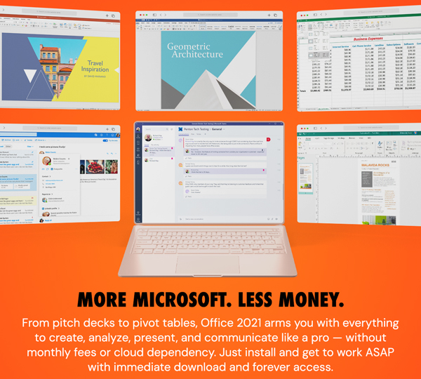 Microsoft Office Professional 2021 for Windows: Lifetime License