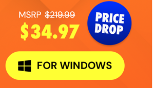 Microsoft Office Professional 2021 for Windows: Lifetime License