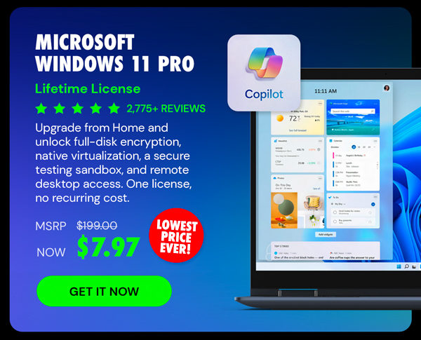 Microsoft Windows 11 Pro