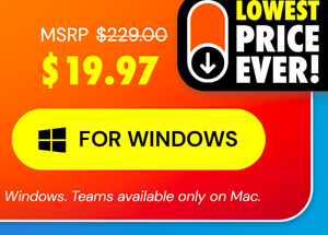 Microsoft Office Professional Plus 2019 for Windows | Lifetime License