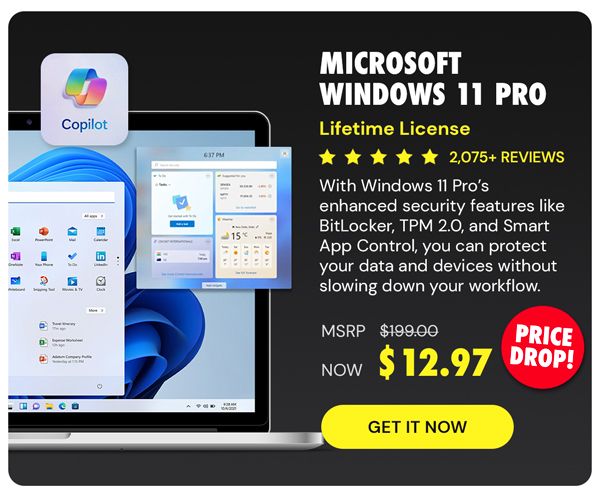 Microsoft Windows 11 Pro