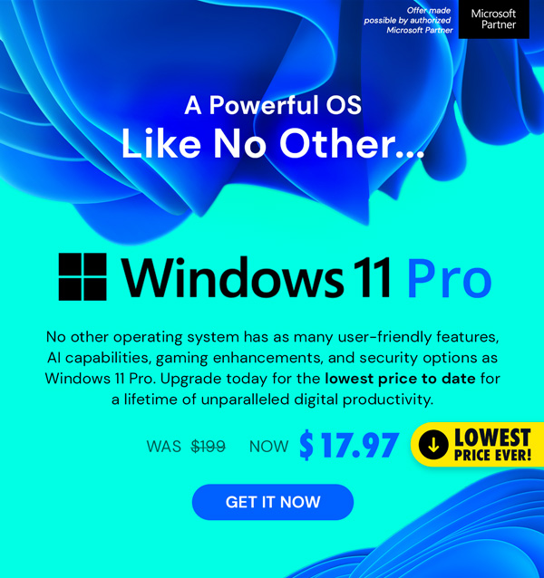 Microsoft Windows 11 Pro