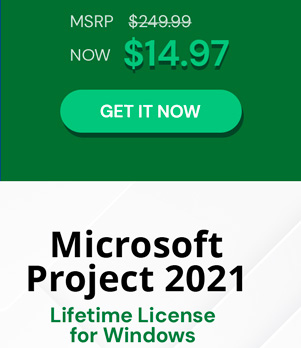 Microsoft Project 2021 Professional: Lifetime License for Windows