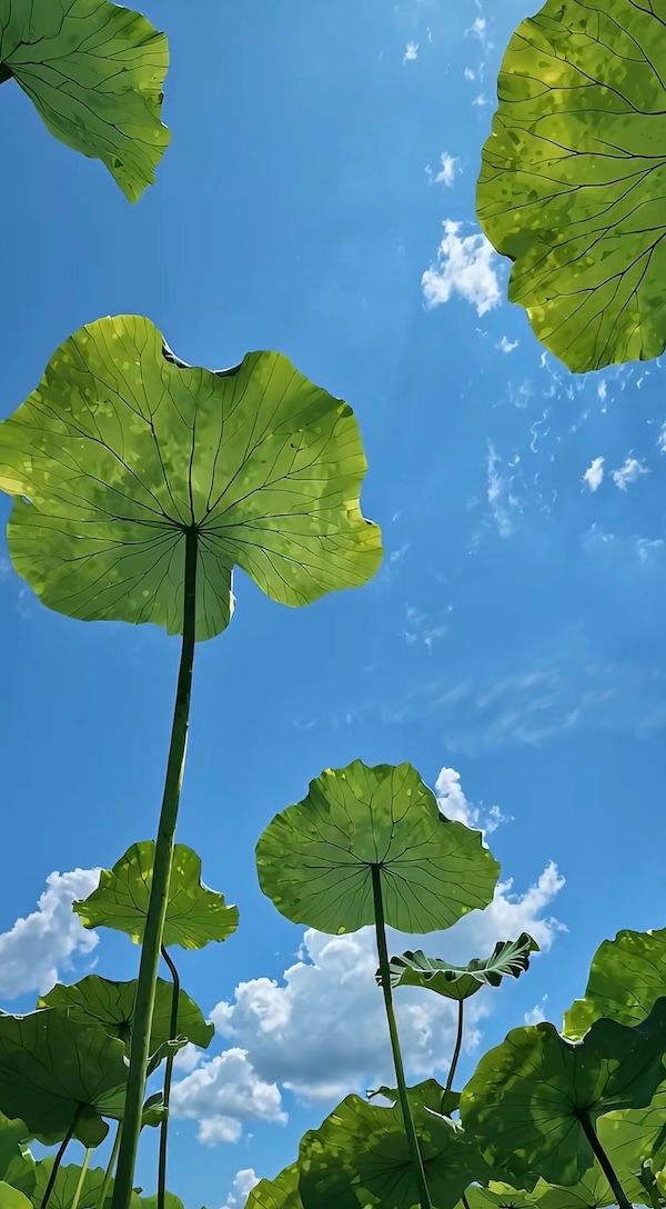 @skysparxx on Instagram