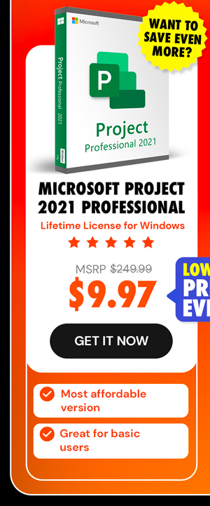 Microsoft Project Professional 2021: Lifetime License for Windows