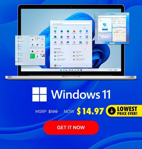 Microsoft Windows 11 Pro