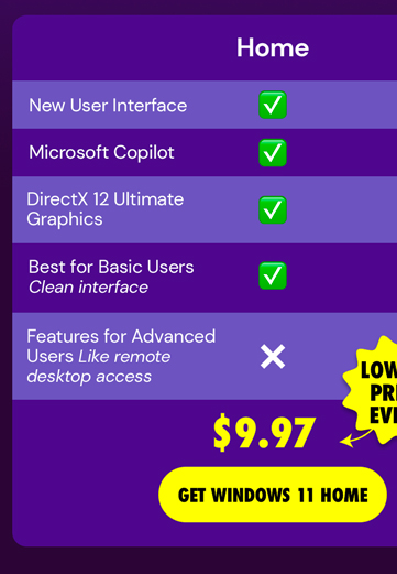 Microsoft Windows 11 Home