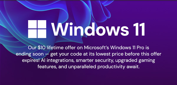 Microsoft Windows 11 Pro or Home