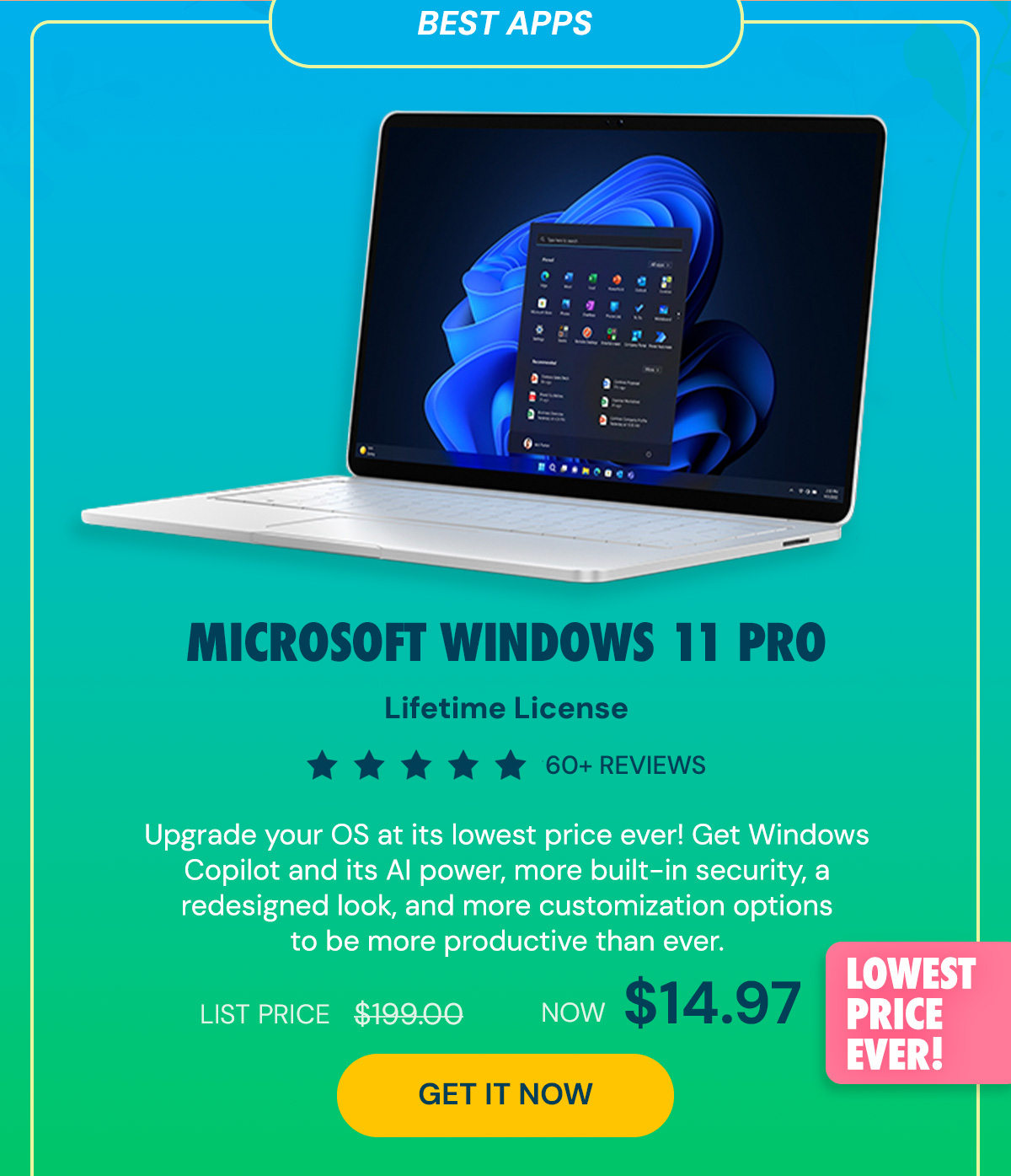 Microsoft Windows 11 Pro Lifetime License