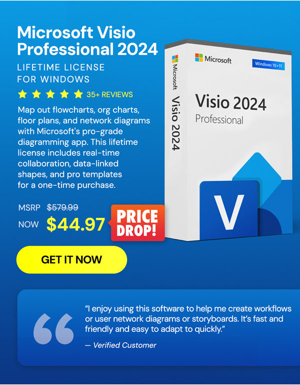 Microsoft Visio 2024 Professional: Lifetime License for Windows