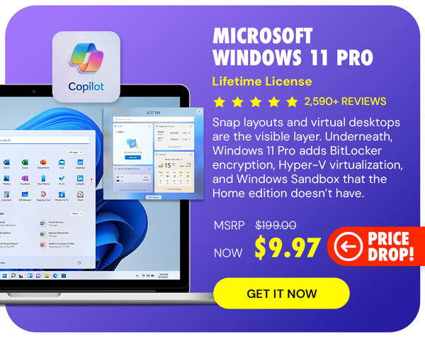 Microsoft Windows 11 Pro
