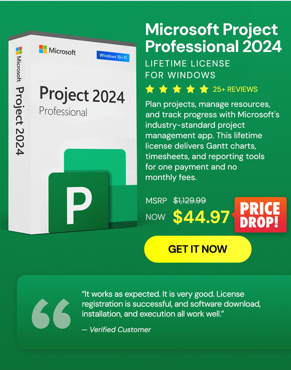 Microsoft Project 2024 Professional: Lifetime License for Windows