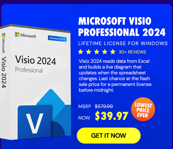 Microsoft Visio Professional 2024: Lifetime License for Windows