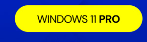 Microsoft Windows 11 Pro