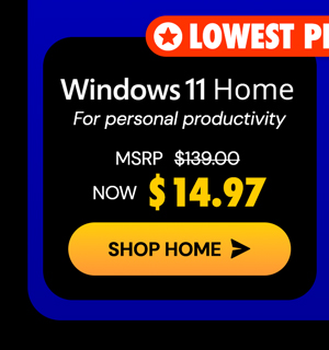 Microsoft Windows 11 Home