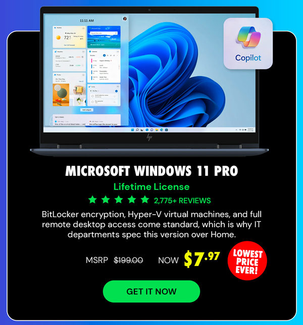 Microsoft Windows 11 Pro