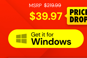 Microsoft Office Professional 2021 for Windows: Lifetime License
