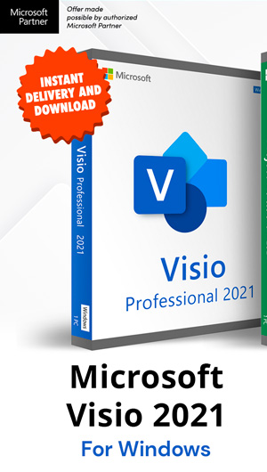 Microsoft Visio 2021 Professional (PC)