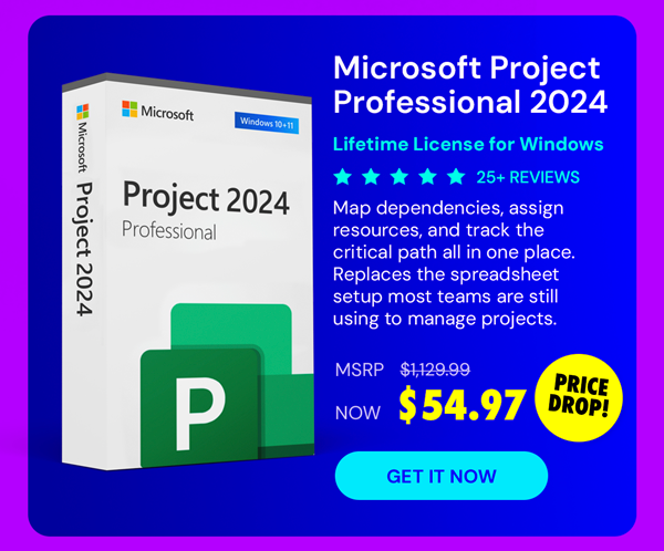 Microsoft Project Professional 2024: Lifetime License for Windows