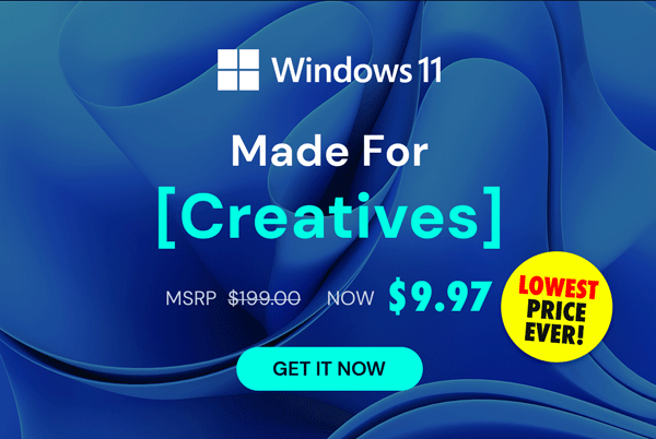 Microsoft Windows 11 Pro | Lifetime License