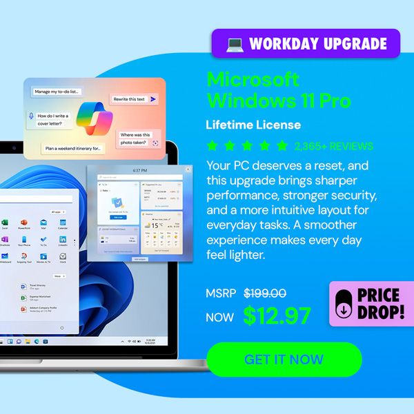 Microsoft Windows 11 Pro