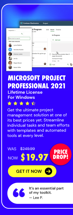 Microsoft Project 2021 Professional (PC)