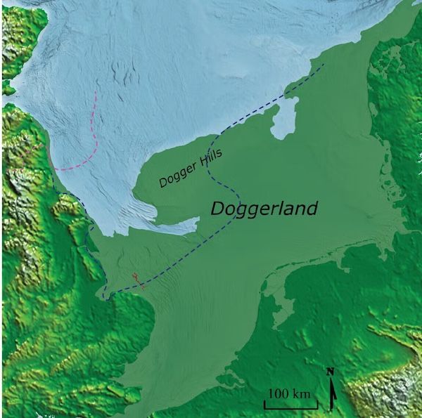 Evidence of an Ice Age forest emerges from the North Sea floor | The Brighter Side