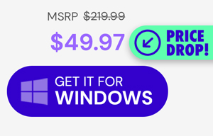 Microsoft Office Professional 2021 for Windows: Lifetime License