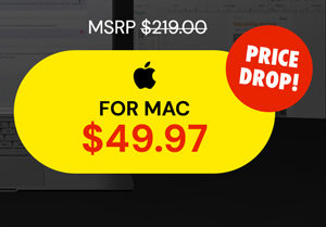 Microsoft Office Home & Business for Mac 2021: Lifetime License