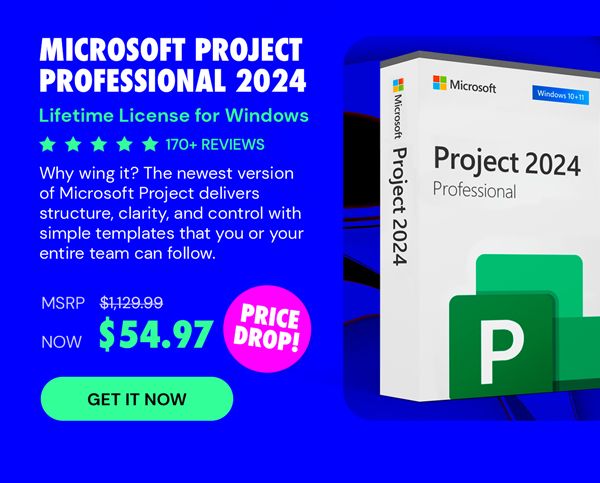 Microsoft Project Professional 2024: Lifetime License for Windows