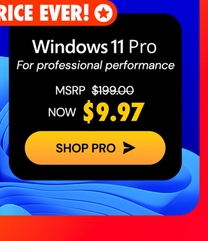 Microsoft Windows 11 Pro