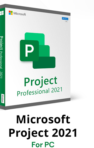 Microsoft Project 2021 Professional (PC)