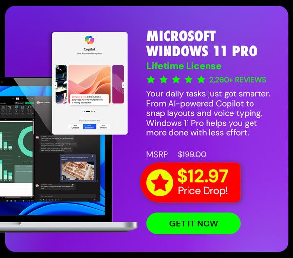 Microsoft Windows 11 Pro