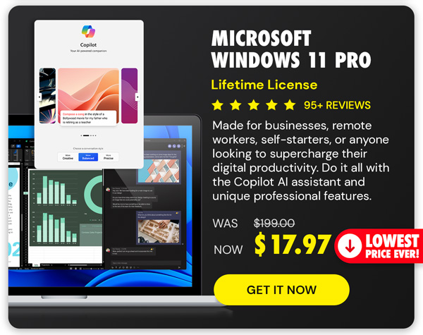 Microsoft Windows 11 Pro