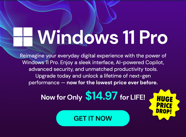 Microsoft Windows 11 Pro